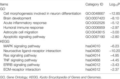 Identification of a Five-mRNA Signature as a Novel Potential Prognostic Biomarker for Glioblastoma by Integrative Analysis